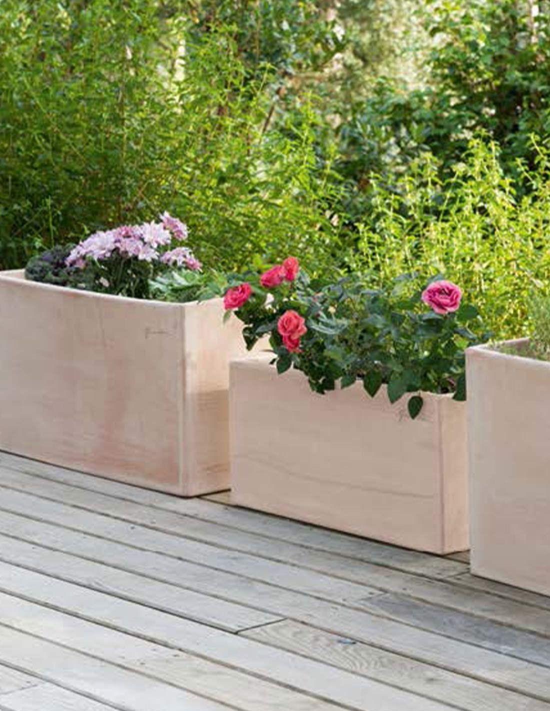 Pots de fleurs en terre cuite : Soucoupes et pots en terre cuite pour  balcon et terrasse - botanic®