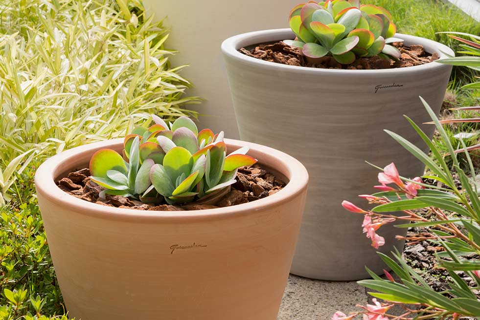 Pots de fleurs en terre cuite émaillée : Soucoupes et pots en terre cuite  émaillée pour balcon et terrasse - botanic®